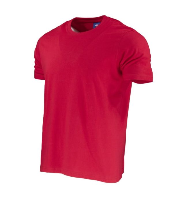 Polera 100% Algodón Manga Corta Hombre TE01014